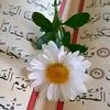 قــاســــ📚ــم