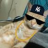 badboybryce000
