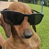 luccapasdias