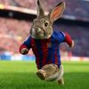 fandebarcelonafc.a