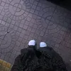 plipnt