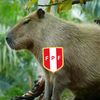 capibaraseleccion