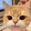 bry_an_33