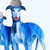متجر بيع الطواقي 💙