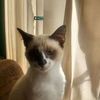 ma.graciela.getz