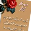 user2571445806567