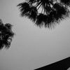abd_s_al60