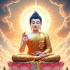 thanhchi449