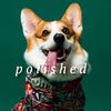thunderdogsapparel