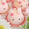 bunnymocchi
