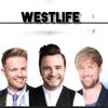 westlifeogig533