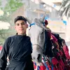 l_asdi