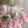 khanhidethuong123