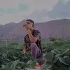 zainalarifin1245