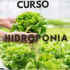 cursohidroponia🌱