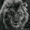 ledun_.0
