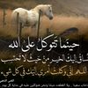 salah.eddine565
