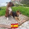 eliasrayongonzale