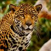 afrikpicsphotography