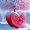 user6215330616235