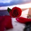 user8680740695155