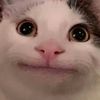 lavrikpc