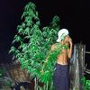 nag.pyonn