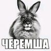 mr_kirieshka_