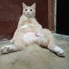 user73710112317421shah
