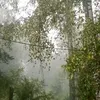 dnoysoube