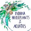 indianahouseplants