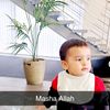 www.rohiii2896