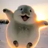afonya_881