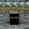 sammad439