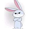 🐰🇲🇫Lapin blanc🇲🇺🐇