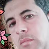 user6288192282597