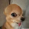 khauasnts7_
