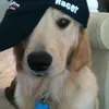 sunookiwi