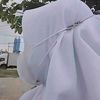 nafi_shashe