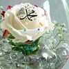 alimh1652