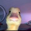 valeska._.hurtado