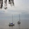vidaneos