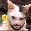 user200749_2