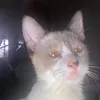 heeyyyzzzzz