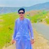 malik_shani_awan_95