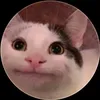 belhcbb4