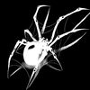 _ethan.codm