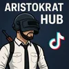 aristokrat.hub