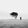 ___ndiayedg5