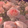 S💓